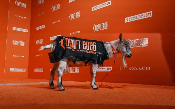 WNBA DRAFT 2026  project image 3